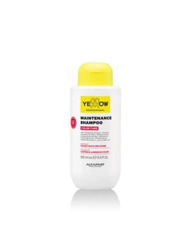 Przejdź do produktu YE COLOR CARE szampon 500ml