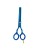 12089_11223